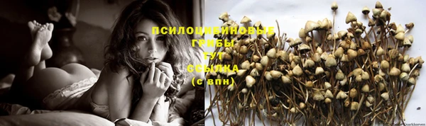 спиды Ачинск