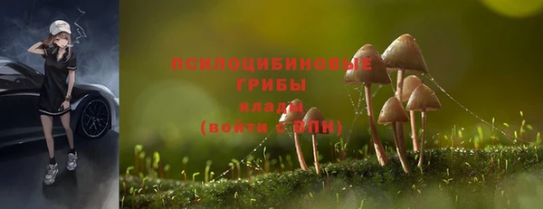 гидропоника Магадан