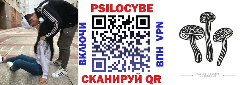 Галлюциногенные грибы Psilocybe  Устюжна 